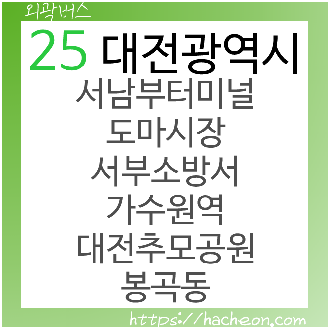 25번 버스 (대전광역시) 5